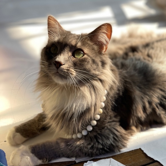 Modern unlisted item - Picture 2 of 3